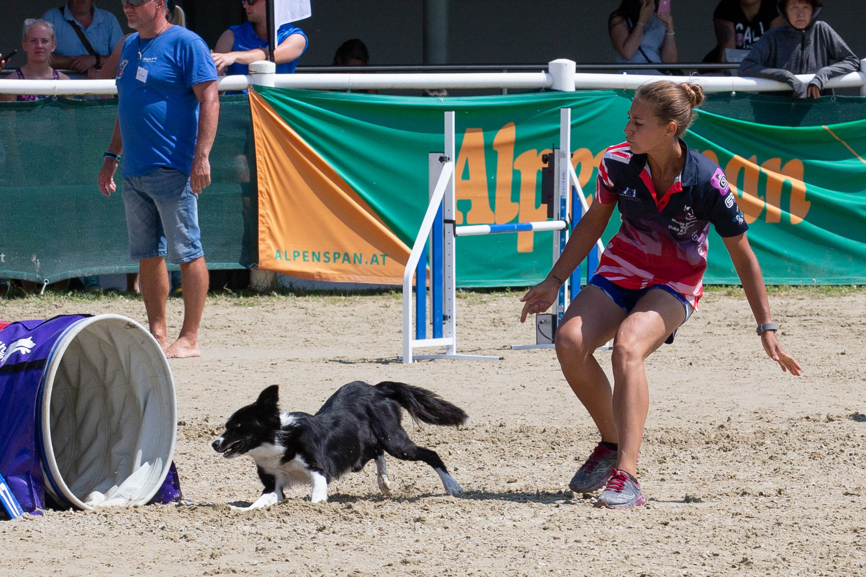 Ultimate Agility Performance Ogilvie Dogs
