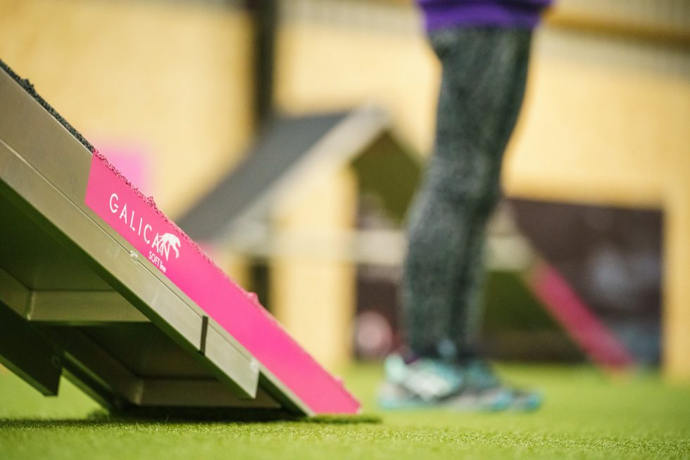 Agility Venue Hire Ogilvie Dogs