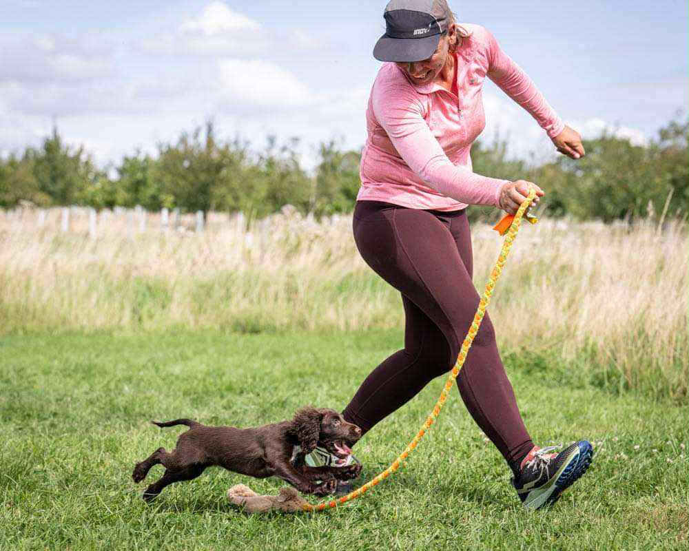 Sam Handler Confidence to Commitment With Sam Lane - Handler Skills - Ogilvie Dogs